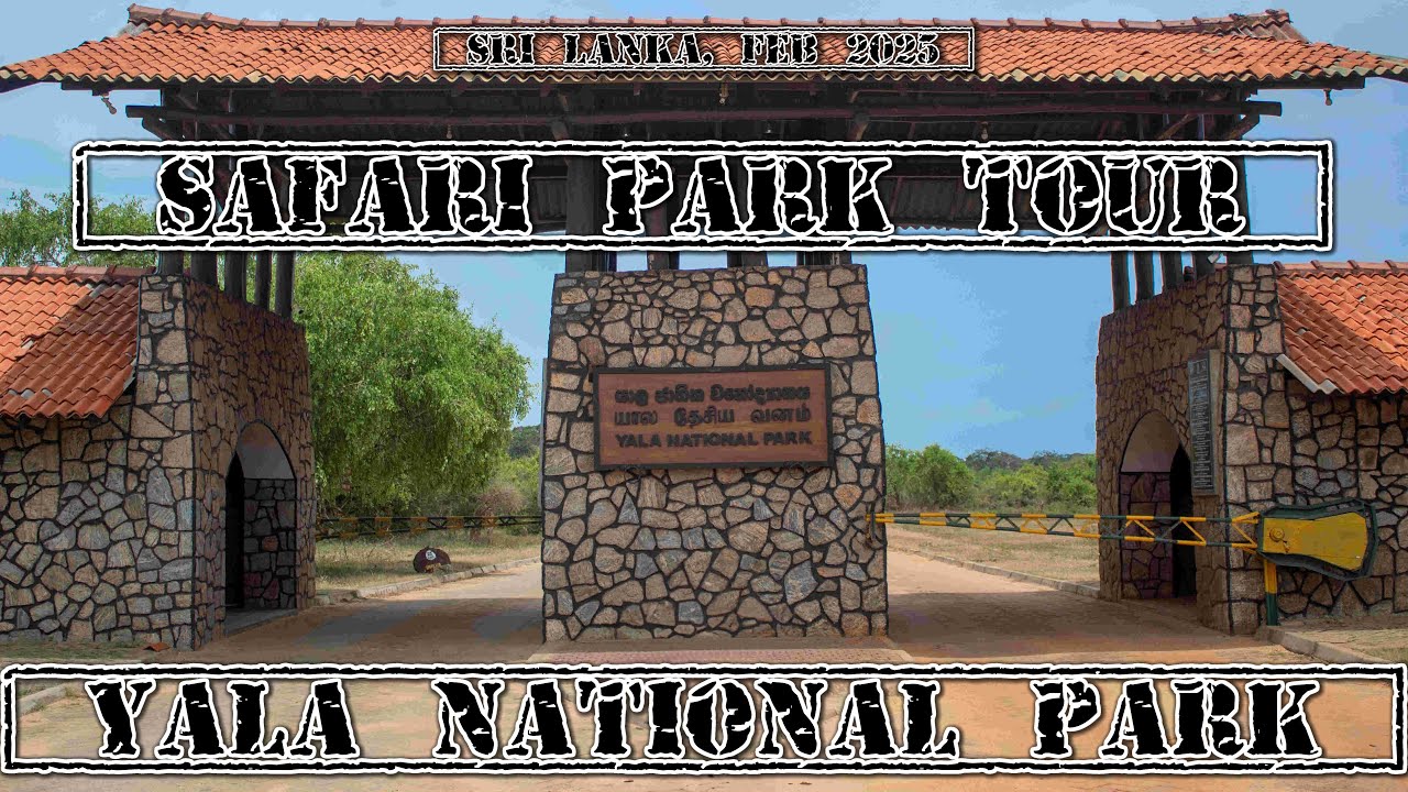 Yala National Park Tour, Sri Lanka, Feb 2025. ELEPHANTS!! Safari Park.