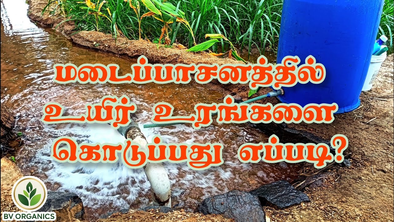 மடைப்பாசனத்தில் உயிர் உரங்கள் | Organic Farming | இயற்கை விவசாயம் | Netsurf Biofit