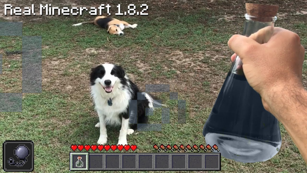 Real Life Minecraft - POTION OF SLOWNESS