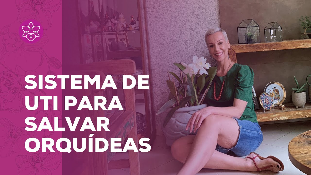 Sistema DE “UTI” para Salvar Orquídea, DÁ CERTO OU NÃO?