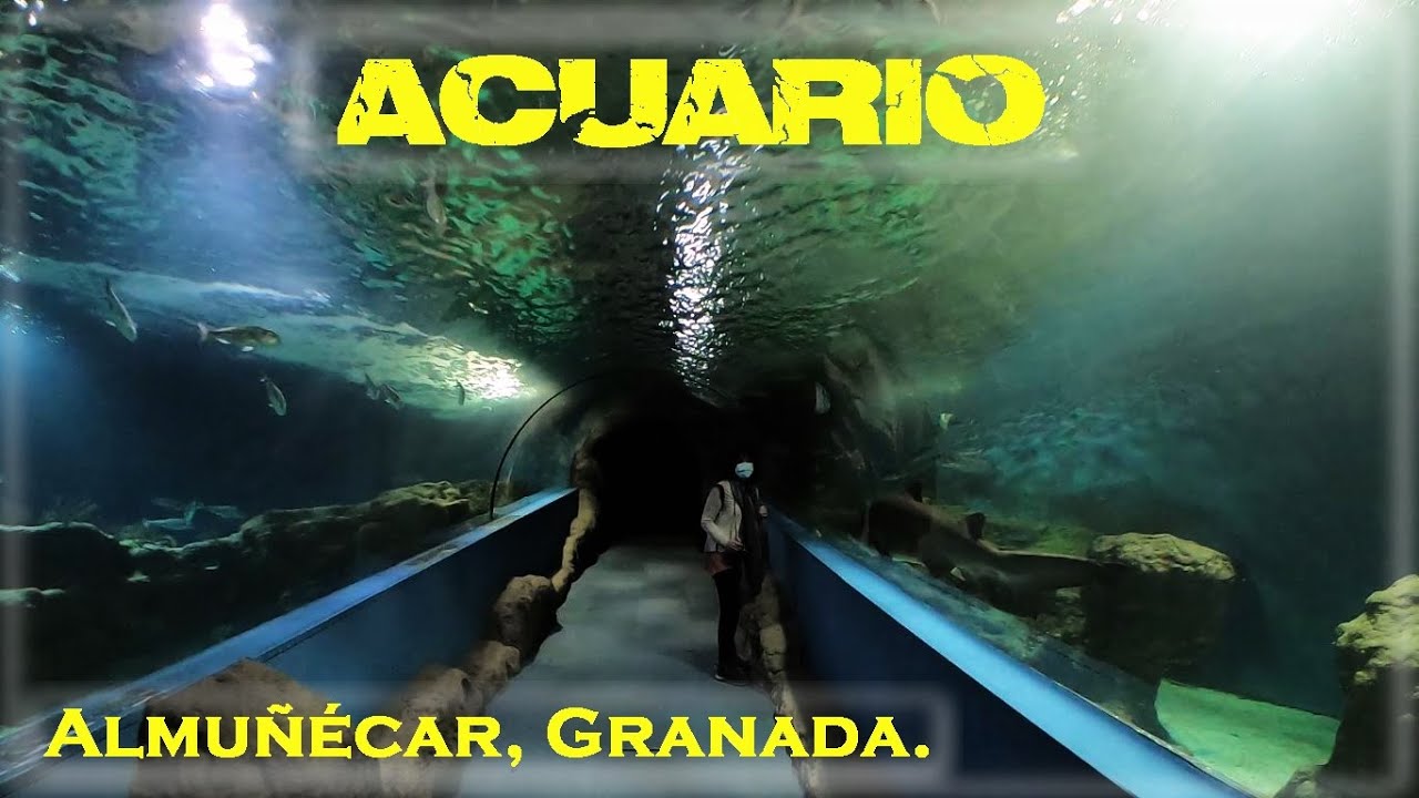 Acuario Almuñécar  Granada