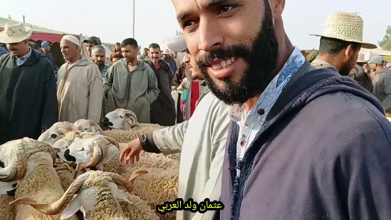 مباشره من سوق جمعة المعدن إقليم مراكش بتاريخ 2024/5/31 مع أتمنة حولي وحمرة ارس ديال العيد الأضحى
