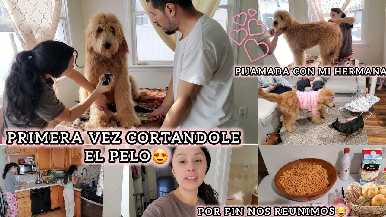💖HICIMOS UNA PIJAMADA🥰 DESPUES DE MUCHO LE CORTAMOS EL PELO A 🐩ZOE QUE GRAN DIFERENCIA #vlogs