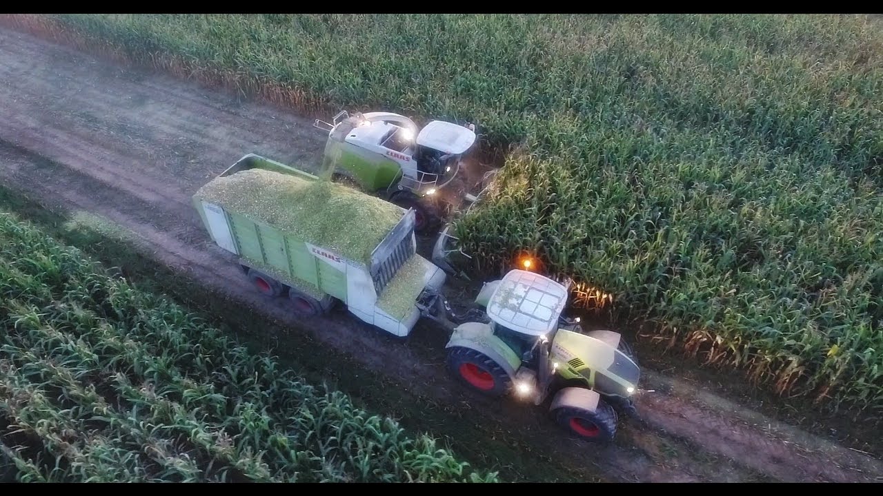 KOSZENIE WIELKIEJ KUKURYDZY 2016! | AGRO-RENT | CLAAS