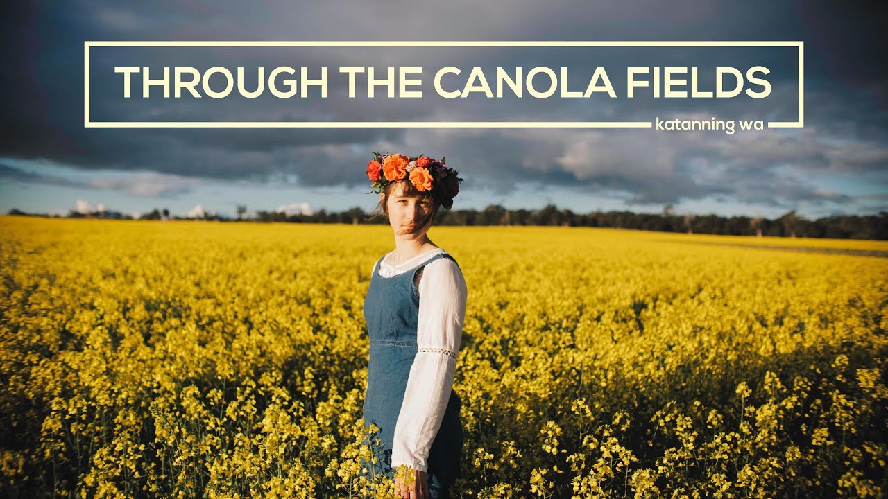 Through the Canola Fields // Canon 5D Mark III