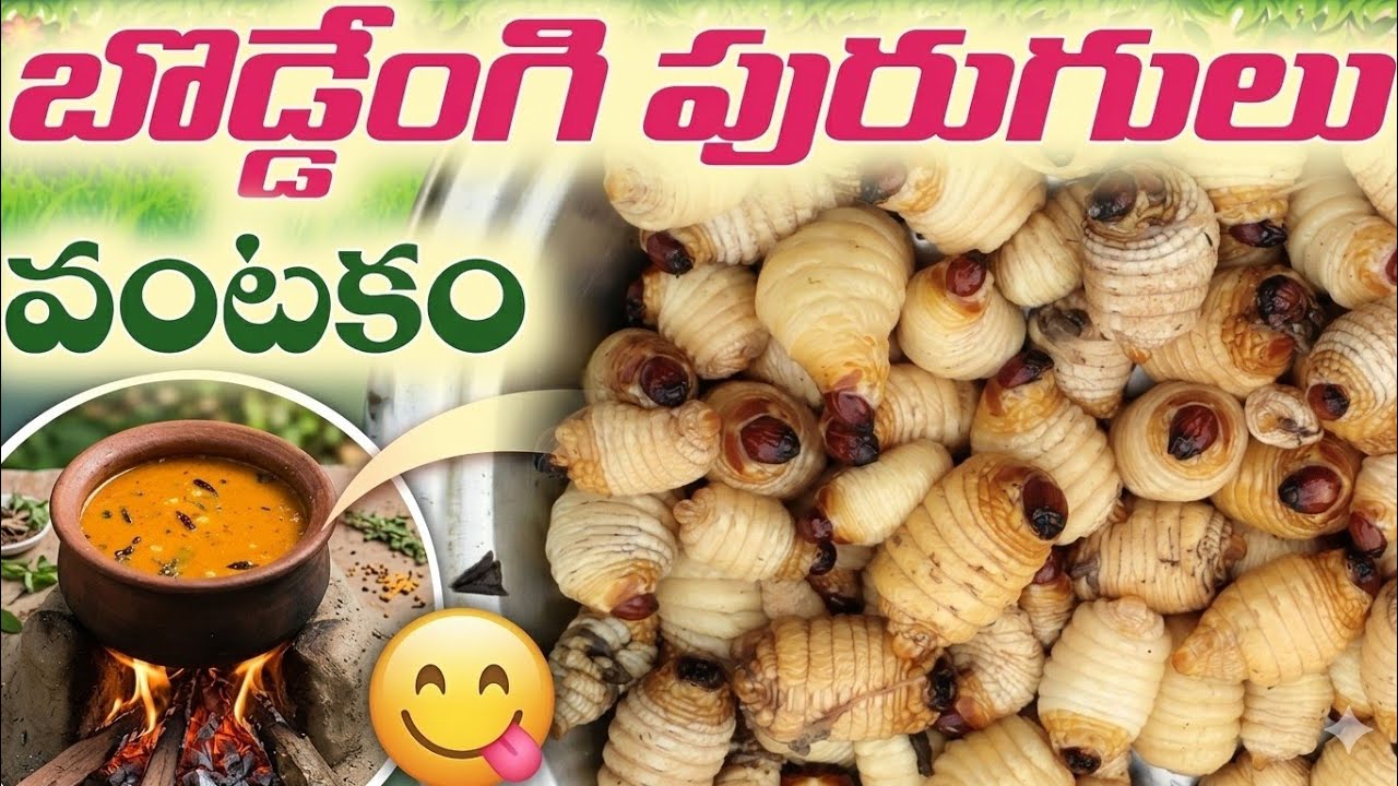 గిరిజనులు ఇష్టంగా తినే బొడ్డేంగి పురుగులు :-Tribal Food Boddengi Purugulu In Araku |#arakutribalboy