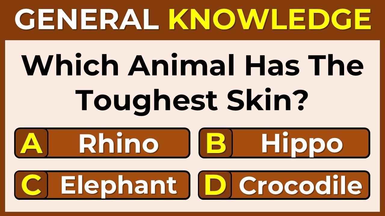 Only 5% Can Score 30/30 on This General Knowledge Quiz!