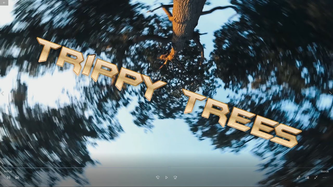 ~Trippy Trees~ #fpv #fpvfreestyle