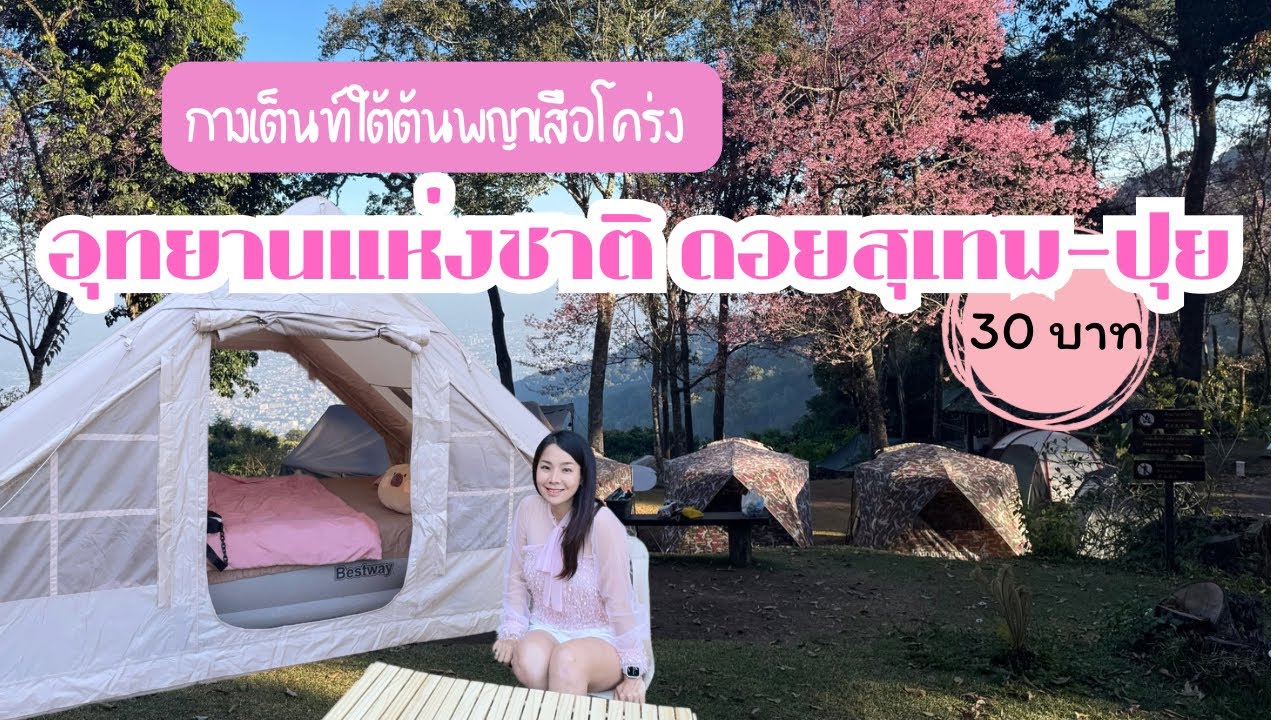 กางเต็นท์บนดอยสุเทพ “อุทยานแห่งชาติสุเทพ-ปุย”พญาเสือโคร่งบาน 100% แค่ 30 บาทเอง