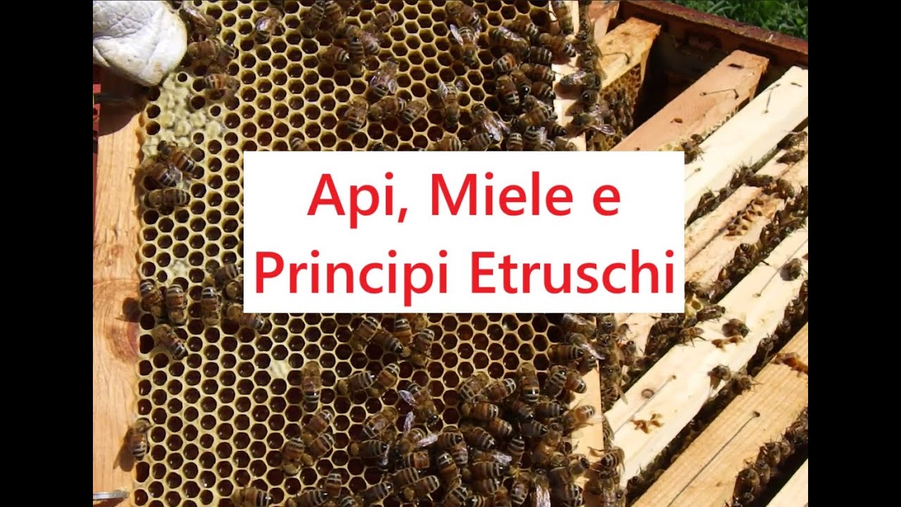 Api, Miele e Principi Etruschi