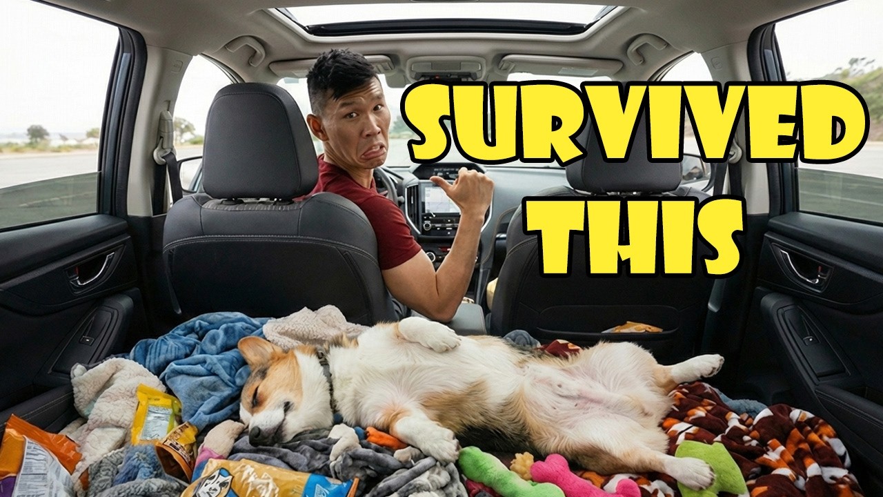 Corgi Road Trip Finally Comes to an End || Life After College: Ep. 822