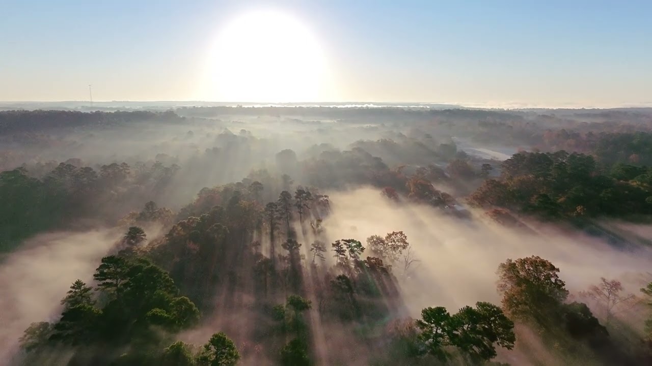 A majestic morning flight. - 4K DJI Neo cinematic footage