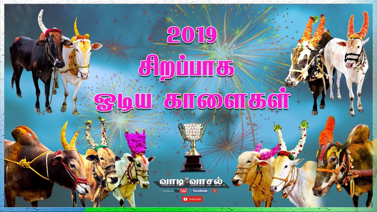 Best of 2019 | Vaniyambadi super star otha komban | paratharami John Cena | Etc...