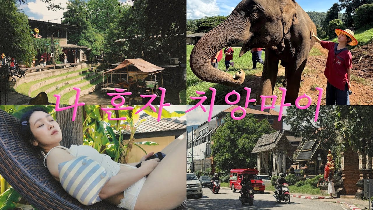 퇴사하고 나 혼자 치앙마이 일주일 살기 🇹🇭