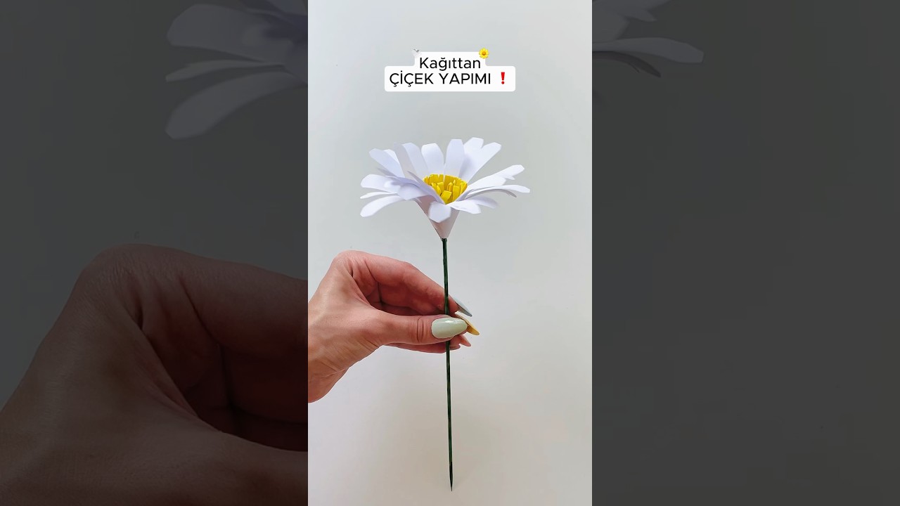 Kağıttan Çiçek Yapımı! 🌼#diy #paperflower