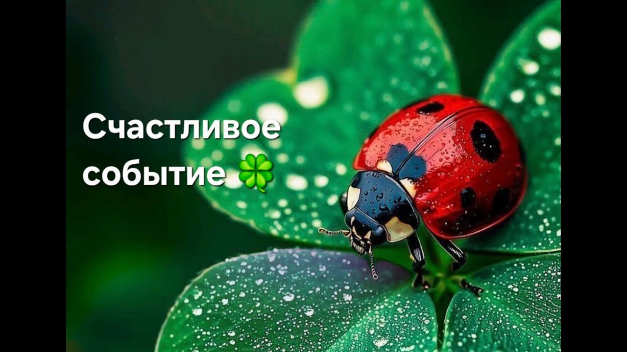 Расклад ТАРО l Радостное событие