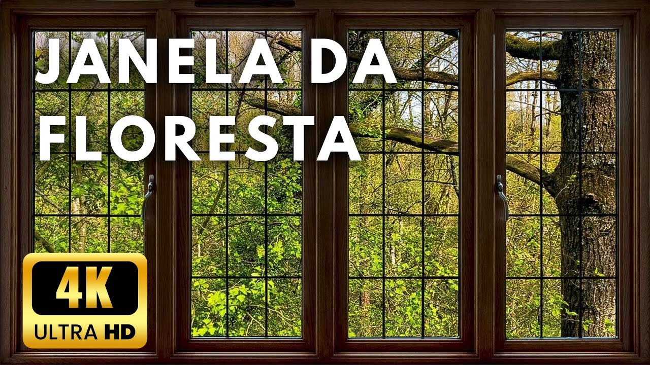 Vista de Janela Para a Floresta em 4K — Relaxante, Calmante, Ambiente 2