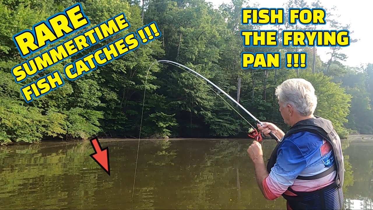 (DINNER)Fishing with MINNOWS to catch FISH for the FRYING PAN !!