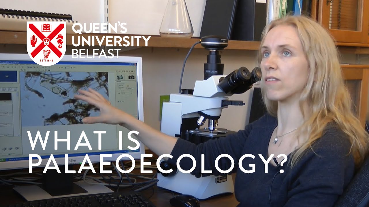 An Introduction to Palaeoecology by Dr Gill Plunkett