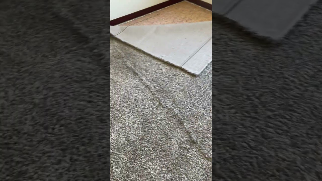 Untacking the carpet. Using a knee kicker and a long-nose pliers