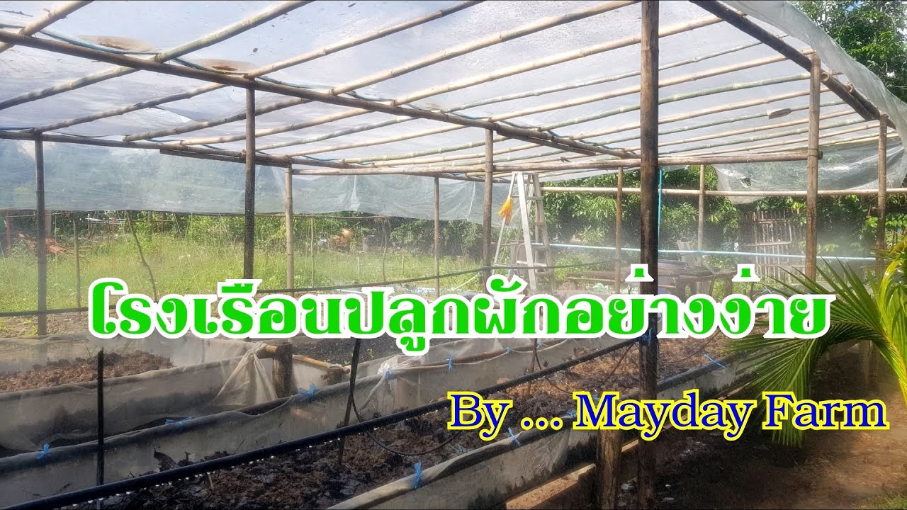 โรงเรือนปลูกผักอย่างง่าย สร้างจากไม้ไผ่