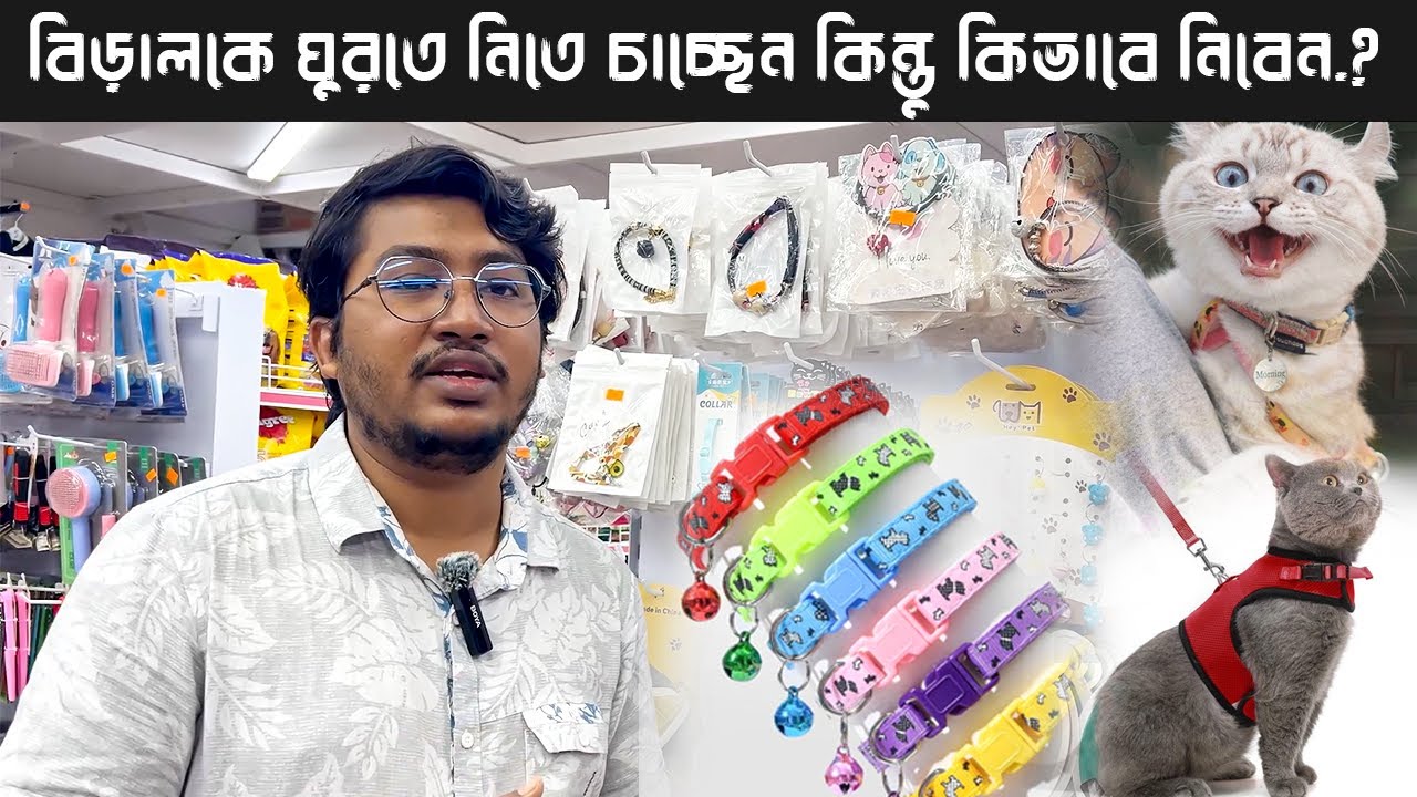 মাএ ৫০টাকায় বিড়ালের কলার ও ১৫০টাকায় হারনেস কিনুন || Best Price Cat Collar & Walking Harness In BD