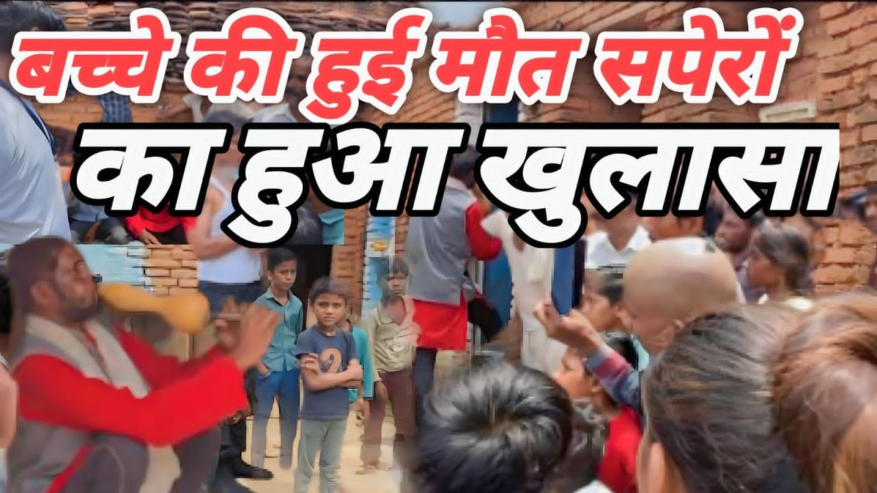 आज फिर सपेरों का हुआ पर्दाफ़ास देखें बीन पर साँप कैसे निकालते है आगे जो हुआ आप भी चौंकजायेगे#snake