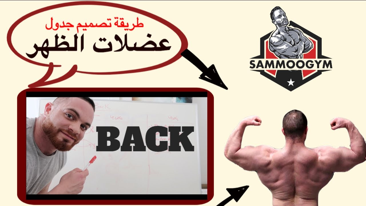 طريقة تصميم جدول تدريب عضلات الظهر