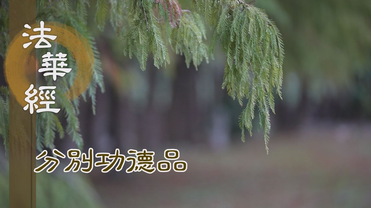 【靜思妙蓮華】法華經分別功德品 - 聞佛法壽 發無上心 - 20231220 第1571集