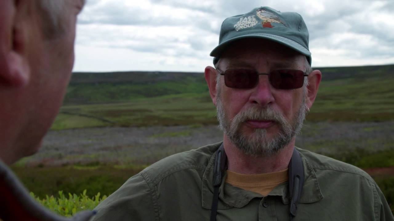 The Real Price of Grouse: A Black Hole For Hen Harriers