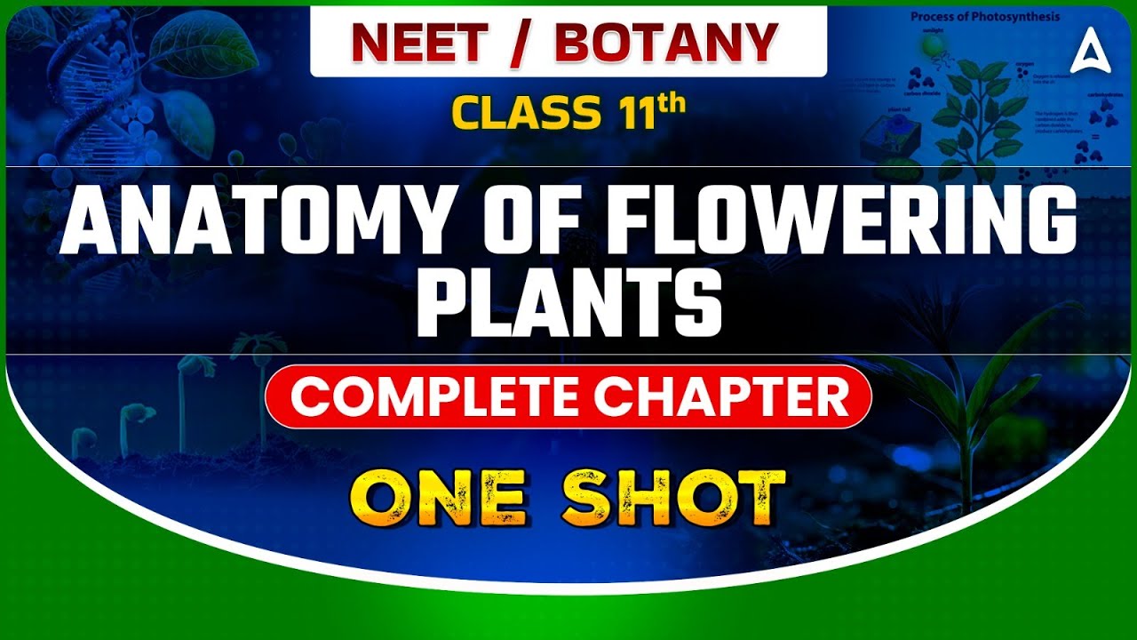 ANATOMY OF FLOWERING PLANTS ONE SHOT | BOTANY COMPLETE CHAPTER FOR NEET | BOTANY SANKALP BHARAT