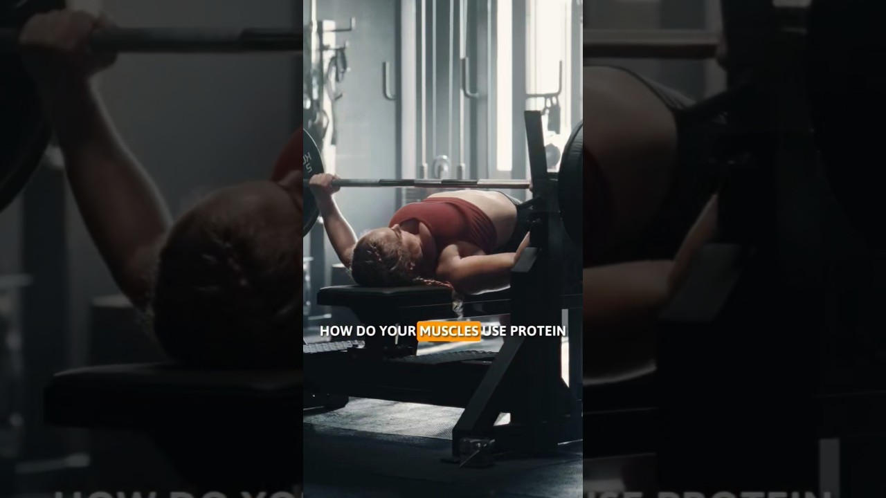 How does your body use protein to build muscle? #protein #musclebuilding #fitnesswomen