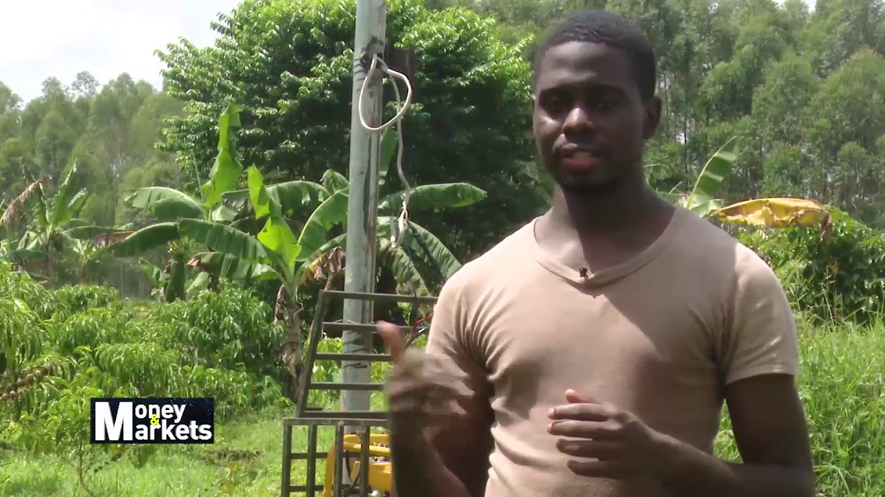 Solar Powered Irrigation System Turning Around Fortunes For Farmers
