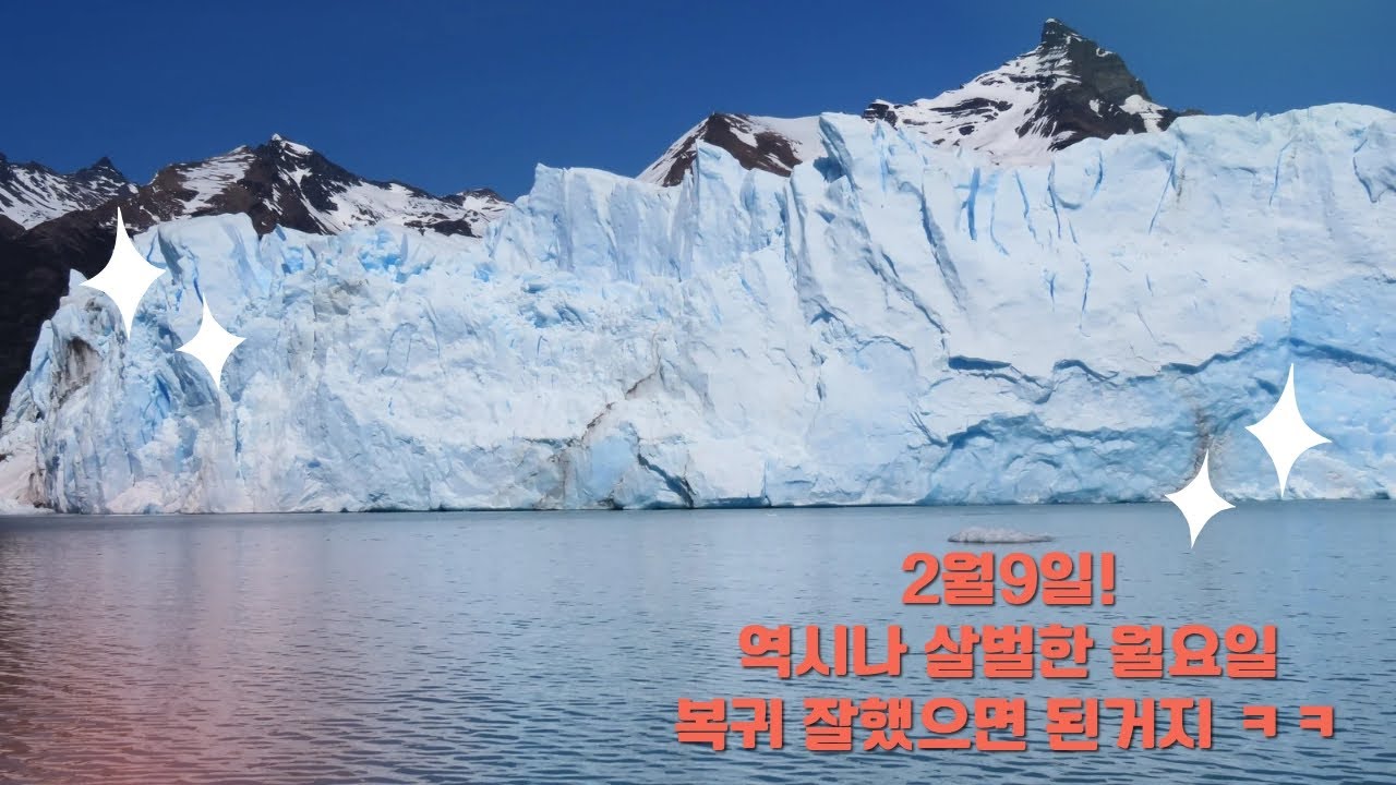 2월9일 투나대리 역시나 살벌한 월요일 복귀 잘했으면 된거지 ㅋㅋ