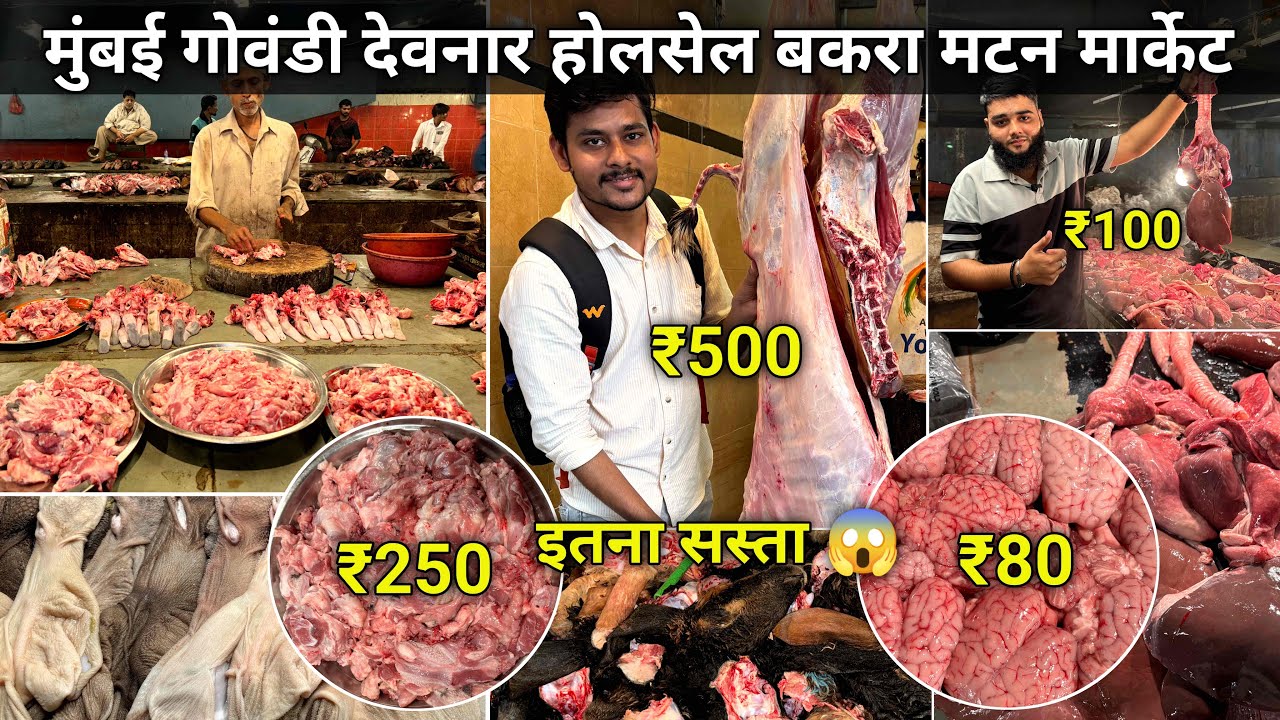 Mumbai Govandi Mutton Market | Govandi Deonar Mutton Market | Mumbai Deonar Wholesale Bakra Market