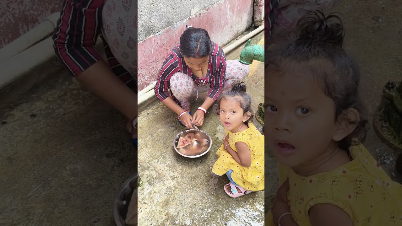 আমার বউয়ের জন্য মাস নিয়ে আসছে ও ধরছে মাছগুলো এখন স্নান করার পর রান্না করবে #minivlog #dailyvlogs