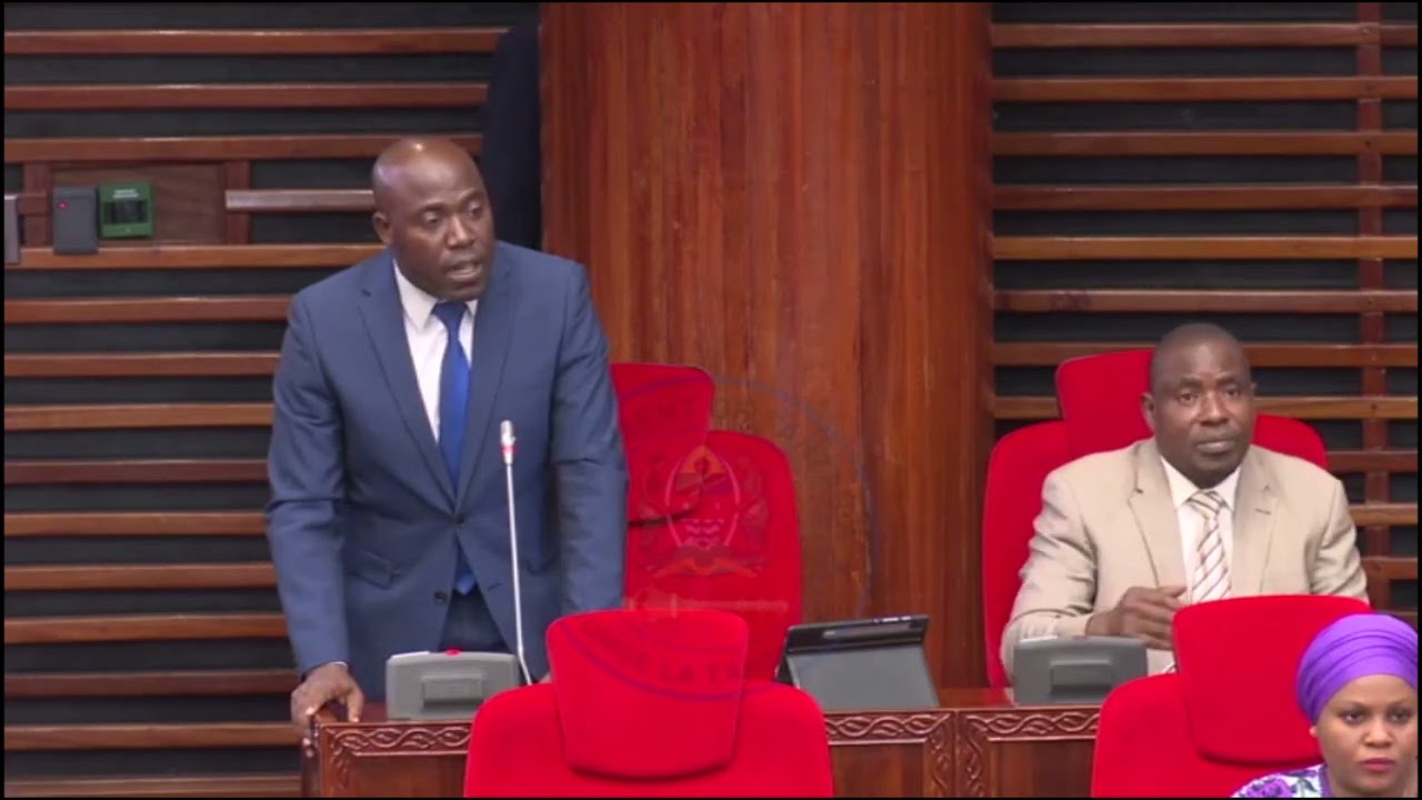TAZAMA MBUNGE SILANGA JIMBO LA ITILIMA AKIMCHAPA MASWALI NAIBU WAZIRI TAMISEMI NI KUHUSU BARABARA