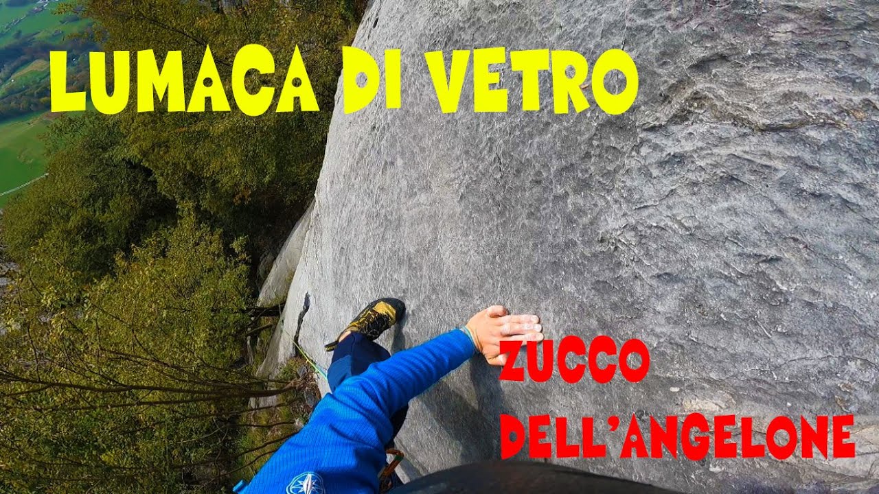 LUMACA DI VETRO - ZUCCO DELL'ANGELONE