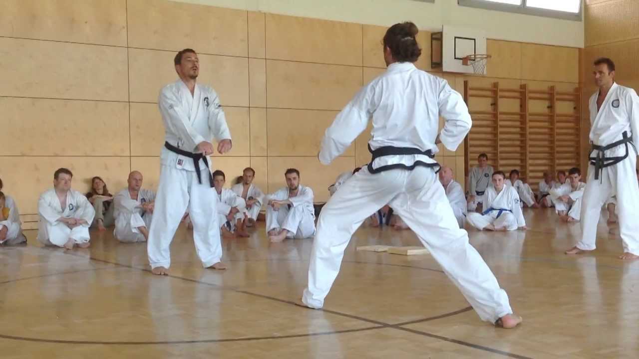 130817 VILLACH TRADITIONAL TAEKWONDO COMMUNITY
