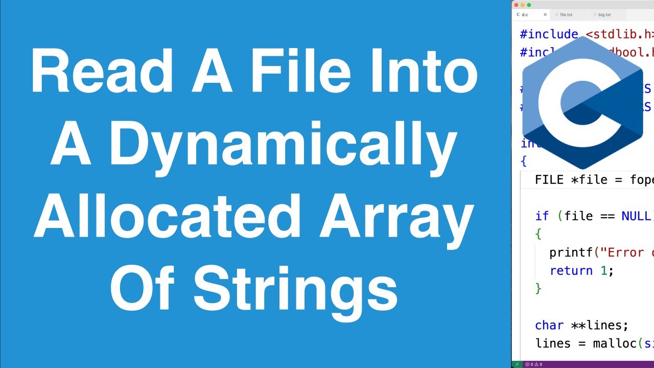 Read All File Lines Into A Dynamically Allocated Array Of Strings | C Programming Example