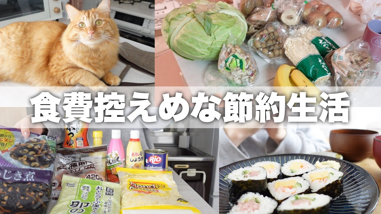【低収入】業スーと八百屋で食費安めな生活￤休日の過ごし方￤猫のいる暮らし🐈