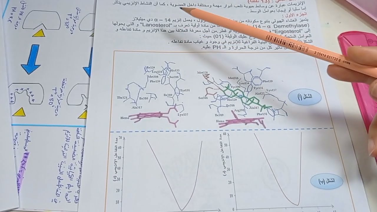 التمرين   3 انزيمات [#سعفة_القدم ] التمرين الشامل  في الإنزيمات الجزء الاول
