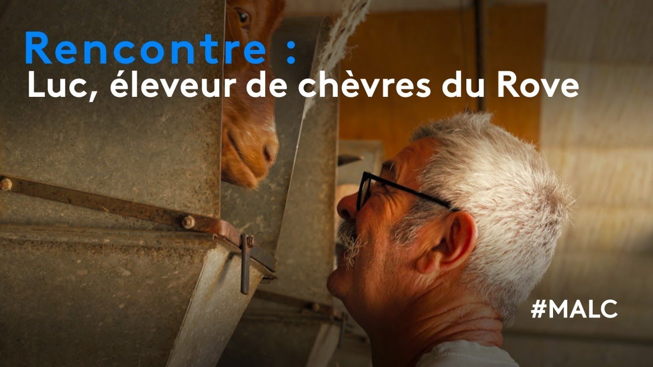 Rencontre : Luc, éleveur de chèvres du Rove