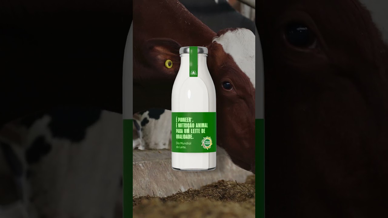 &Eacute; mais nutri&ccedil;&atilde;o, &eacute; mais versatilidade &ndash; Dia Mundial do Leite