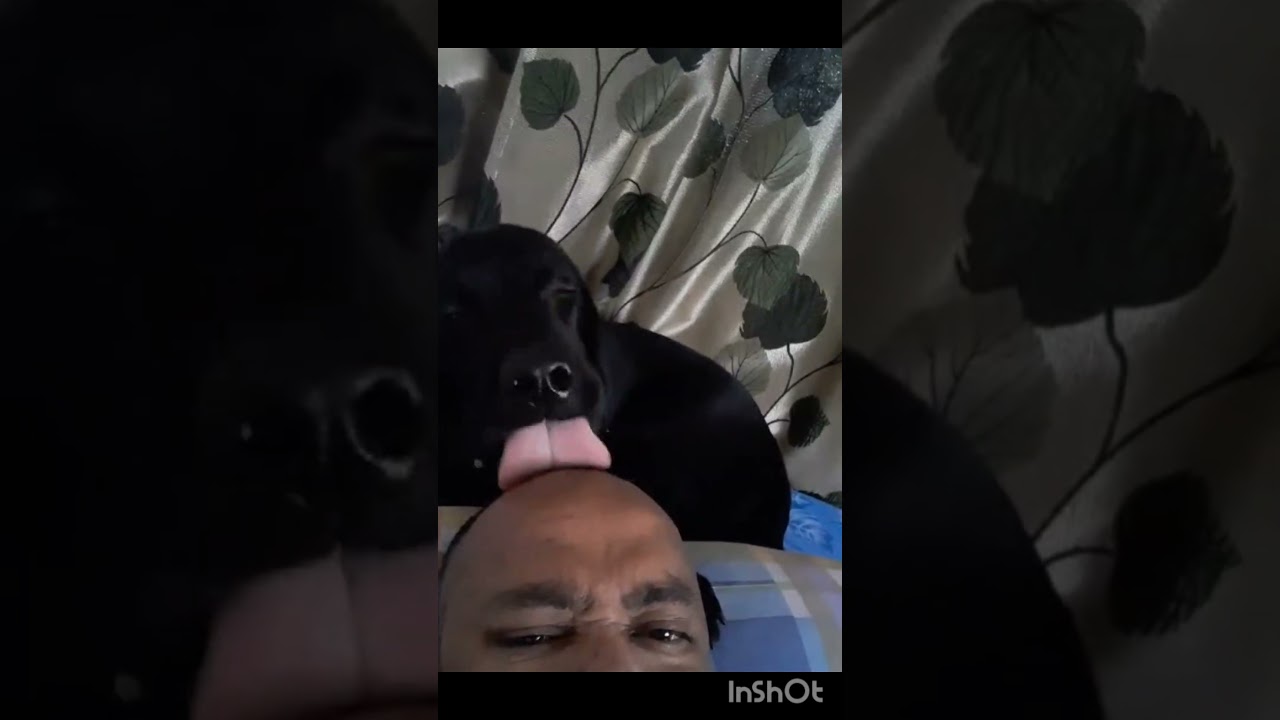 bhalobashaa...🐾 #dog #bengalivlog #subscribe