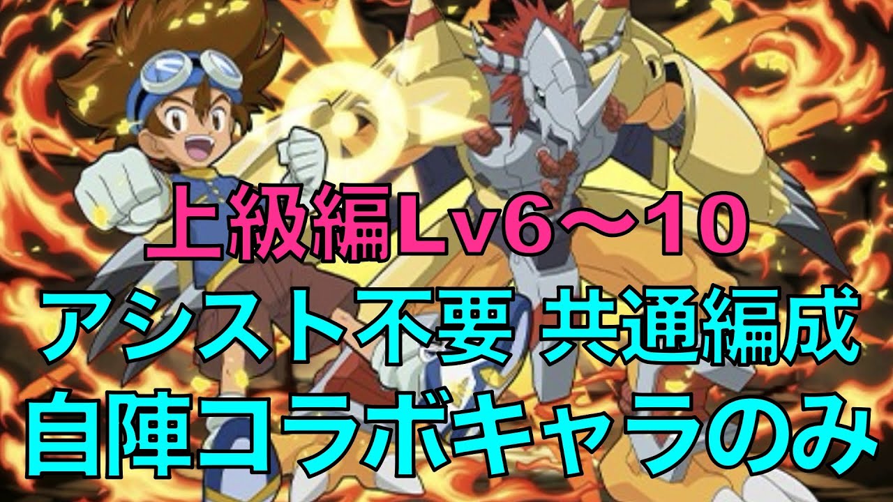 【アシスト不要】デジモンコラボ上級編Lv6〜10共通編成！自陣コラボキャラのみ！立ち回り紹介【＃パズドラ】【＃デジモンコラボ】【パズル&ドラゴンズ】