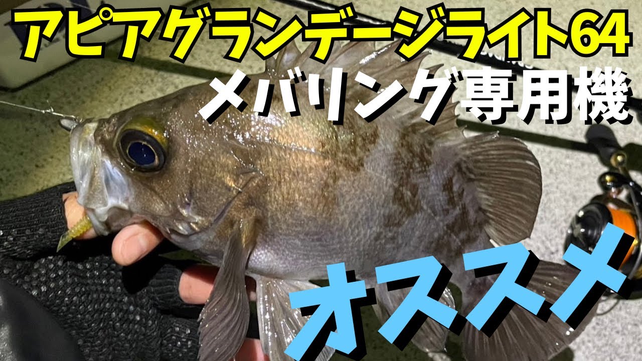 メバリングに超オススメ！！APIAグランデージライト64！ジグ単専用機を紹介します