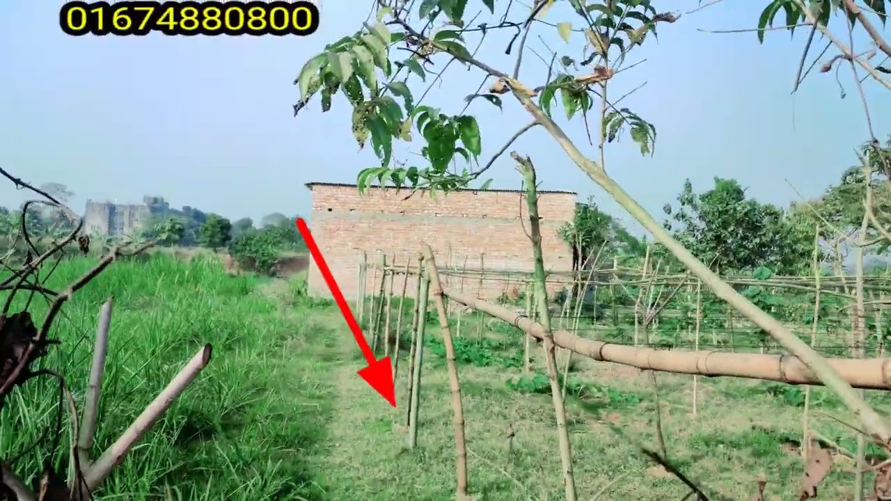 প্যাকেজ মূল্য মাত্র ১৫ লক্ষ টাকা বিরুলিয়ার আকরান মৌজায় দুই রাস্তার কর্নারে ৪ শতাংশ জমি বিক্রয় হবে