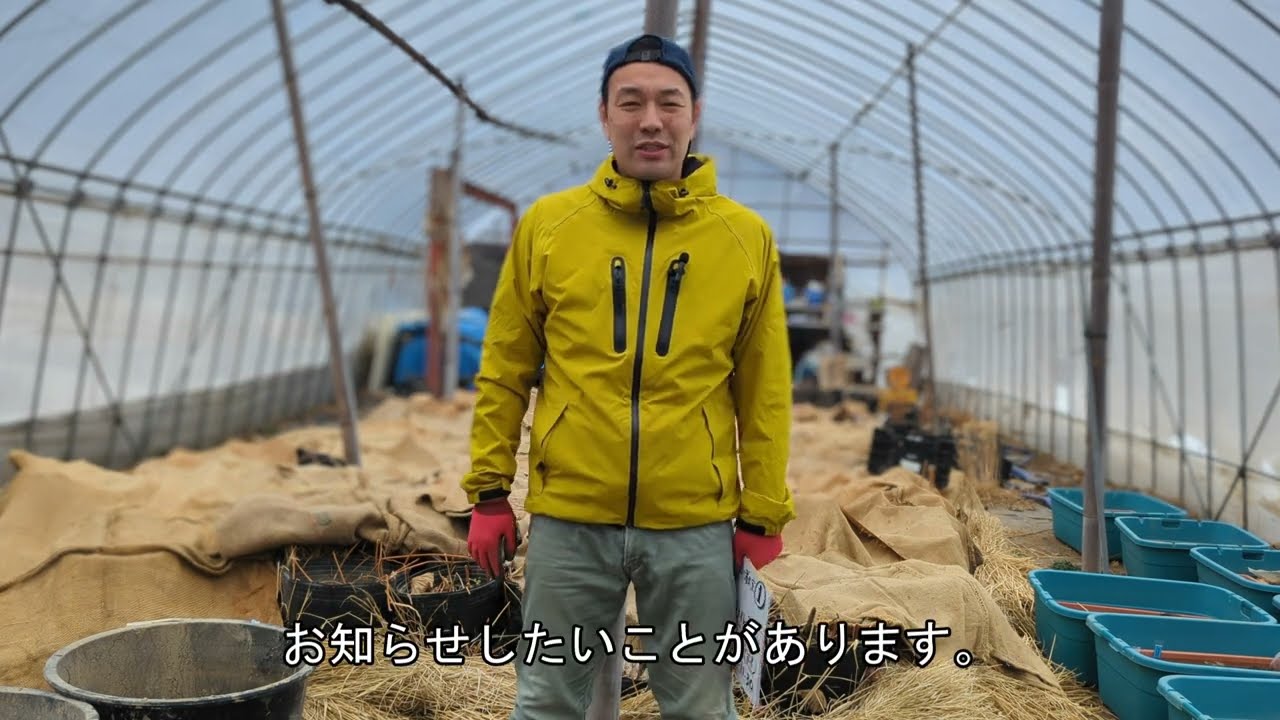 ハスの鉢植えのやり方教えます！東京、埼玉、長野の3地区で計7回の講座開催