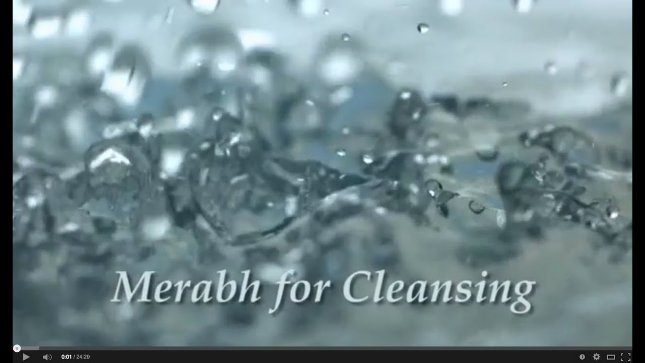 Cleansing Merabh with Adamus and Oryom